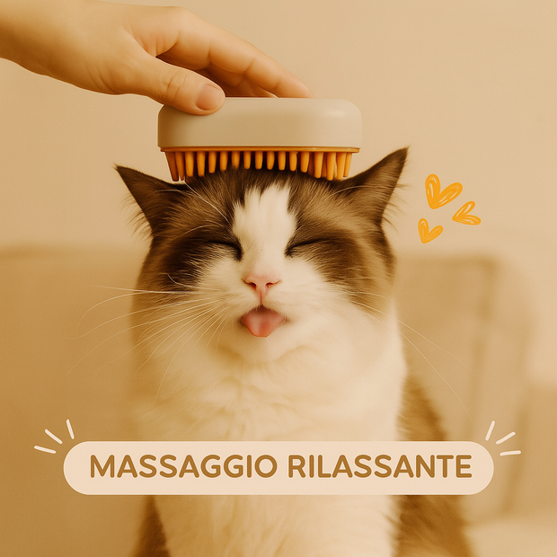 Spazzola a Vapore 3 in 1 ™ - Coccolaci